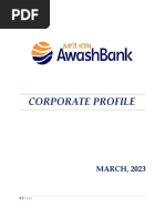 CORPORATE PROFILE Final