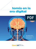 Libro Anatomia FINAL