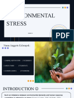 Environmental Stress: Kelompok 3