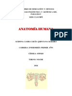Anatomía Humana: Ministerio de Educación Y Ciencias Universidad Politécnica y Artística Del Paraguay Sede Caacupé