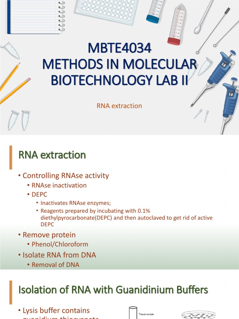 RNA Extraction Methods Overview | PDF | Cooking, Food & Wine | Science ...