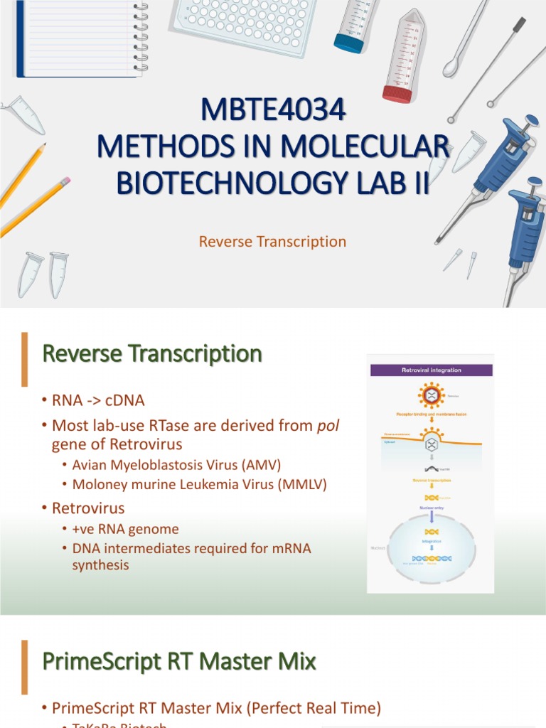 Reverse Transcription | PDF