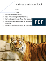 Reproduksi Harimau Dan Macan Tutul: Topik Yang Dibahas