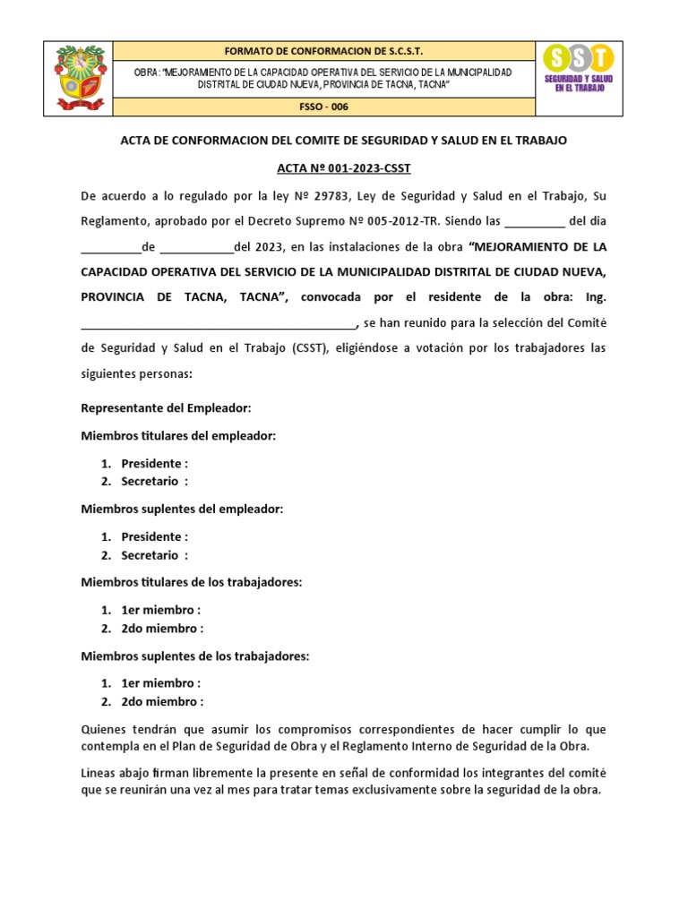 Acta de Conformacion Del CSST | PDF | Gobierno