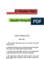 Tim Và Trung Thất: Nguyễn Trung Hưng