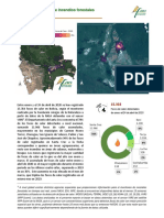 Reporte Abril2020-V5