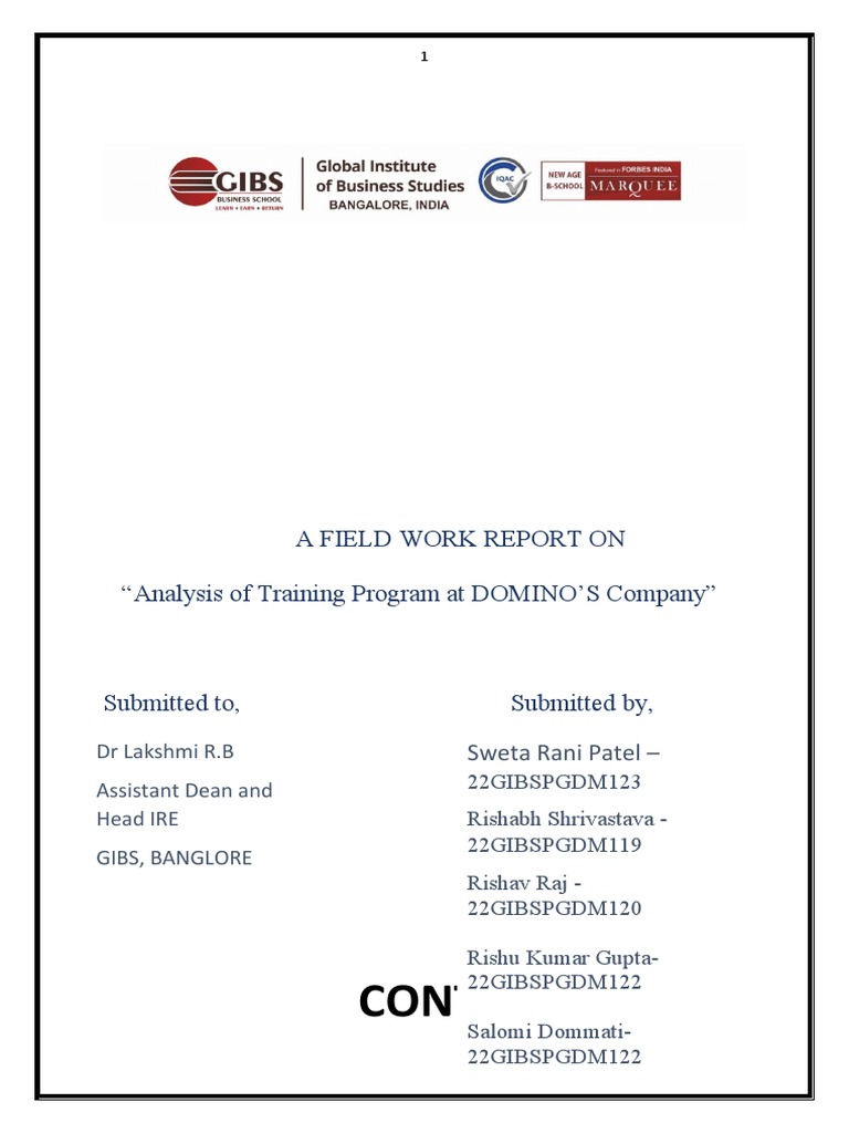Content: A Field Work Report On "Analysis of Training Program at DOMINO ...