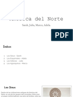 Plástica America Del Norte 3