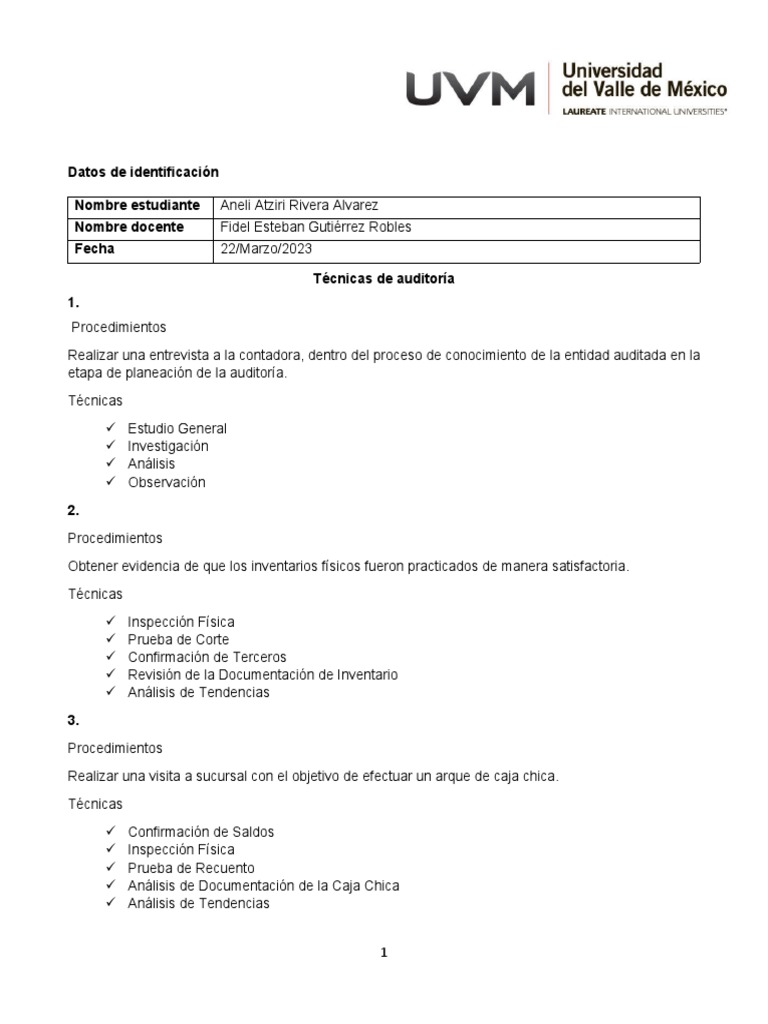 Técnicas De Auditoría Pdf Auditoría Contralor