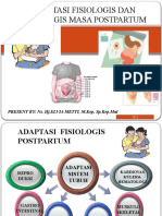 Adaptasi Fisiologis Dan Psikologis Masa Postpartum: PRESENT BY: Ns. HJ - ELVIA METTI, M.Kep, SP - Kep.Mat