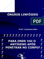 Órgãos linfóides primários e secundários