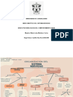 Cuadro Sinoptico Del Sistema Nervioso