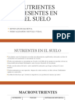 Nutrientes Presentes en El Suelo: Erwin Quispe Machuca Primo Alejandro Revollo Vidal