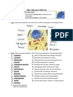 CER Cell Structure Lab