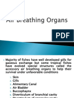 Air Breathing Organs