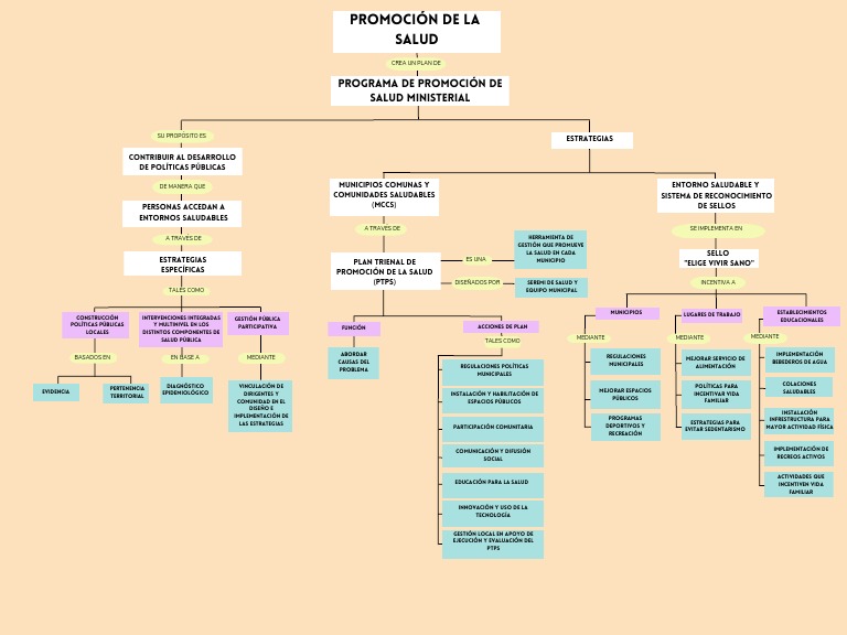 Mapa Conceptual de Promoción de la Salud | PDF