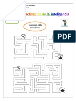 Guia Activacion de La Inteligencia 5