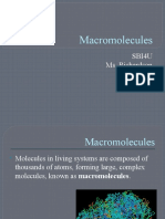 Macromolecules: Sbi4U Ms. Richardson