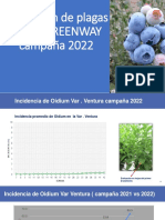 Evaluación de Plagas Fundo GREENWAY Campaña 2022
