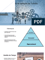 Organização Do Ambiente de Trabalho