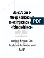 Clase 14 Cría 6 Manejo y Selección de Toros Implicancias en La Eficiencia Del Rodeo