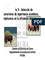 Clase 17: CR Í A9 - Selecci Ó Nde Caracteres de Importancia Econ Ó Mica, Implicancia en La Eficiencia Del Sistema