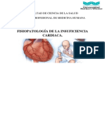 Fisiopatología de La Insuficiencia Cardiaca.: Facultad de Ciencia de La Salud Escuela Profesional de Medicina Humana