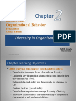 Organizational Behavior: Diversity in Organizations