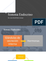 Sistema Endocrino1