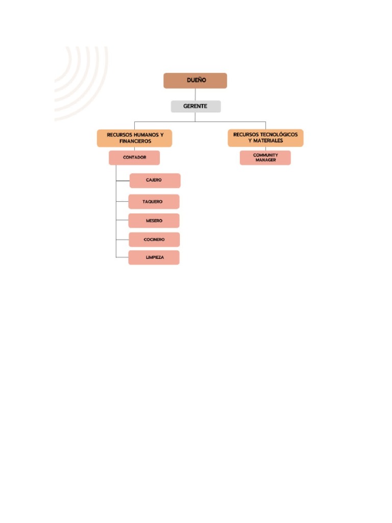 organigrama-pdf-contabilidad-salario