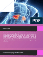 Insuficiencia Renal Aguda (Ira)