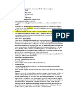 Documento