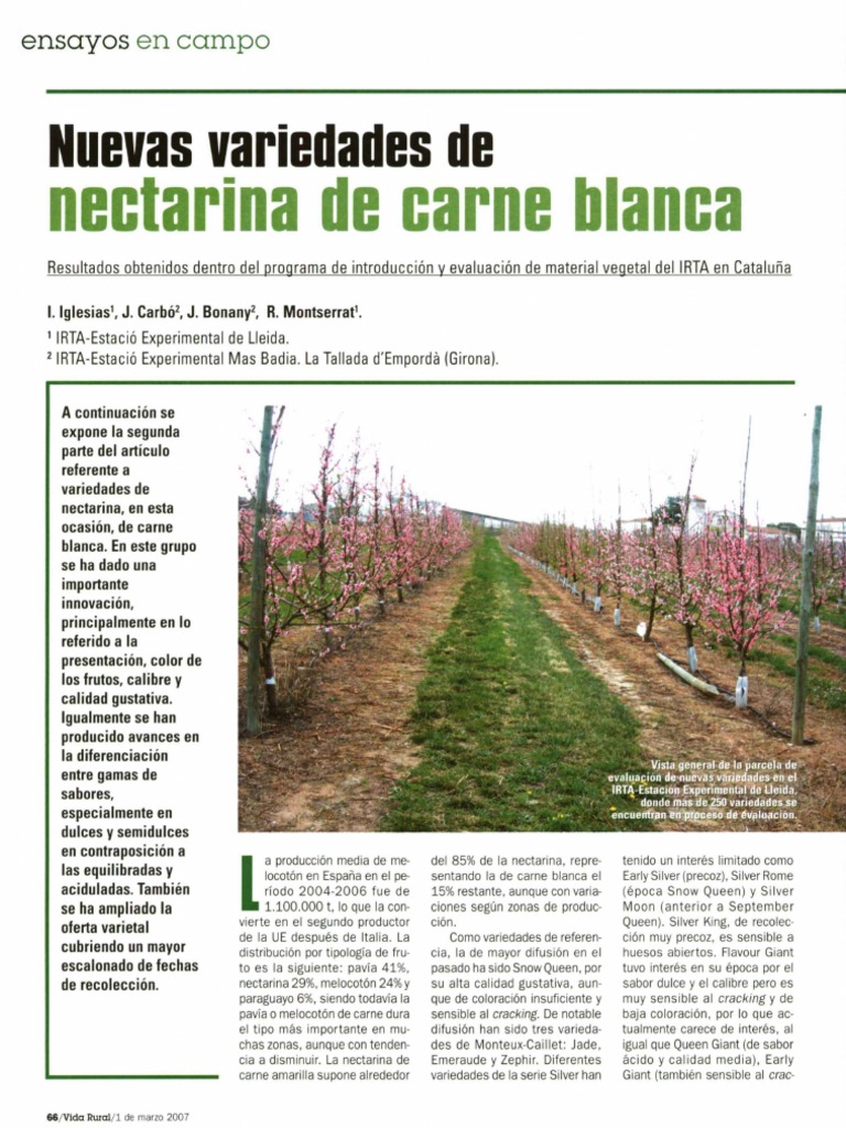 Revista Vida Rural, ISSN - 1133-8938 | PDF