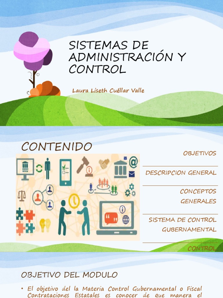 Control Estatal y Administración Pública | PDF | Planificación | Auditoría