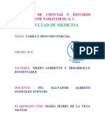 Tarea 5, Segundo Parcial, Medio Ambiente