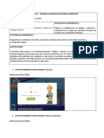 Formato Peligros Riesgos Sec Economicos