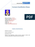 Maria Del Carmen Santibañez Rojas: Perfil Profesional