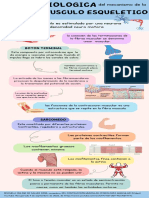 Infografía CONTRACCION MUSCULAR