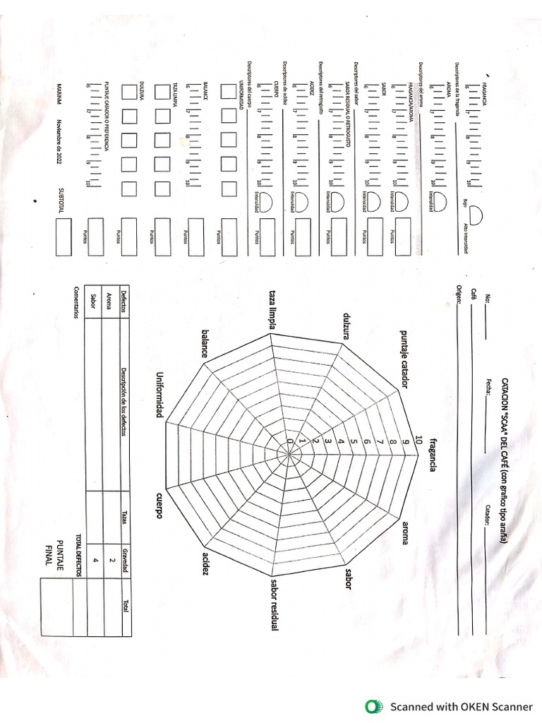 Formato Scaa Con Radial | PDF