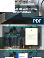 Normas de Auditoria Operacional - Marianela Apaza