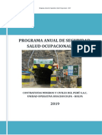 Programa Anual de Seguridad, Salud Ocupacional 2019