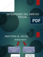 Integridad Del Nervio Facial