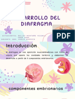 Formacion Del Diafragma