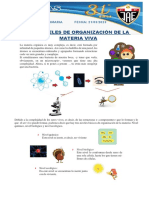 Los Niveles de Organización de La Materia Viva: Biología / 6to Primaria FECHA: 21/03/2023