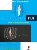 Planos y Ejes de Referencia Anatómica