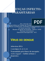 Aula Dengue