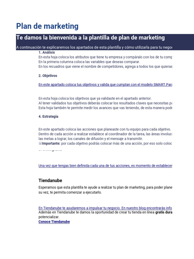 Plan De Marketing Pdf Marketing Business