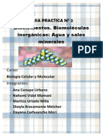 DESARROLLO DE PRÁCTICA 2 Biologia