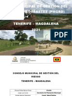 Plan Municipal de Gestion Del Riesgo de Desastes (PMGRD) Tenerife - Magdalena 2021