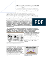 Posible Solución A Problema Ambiental